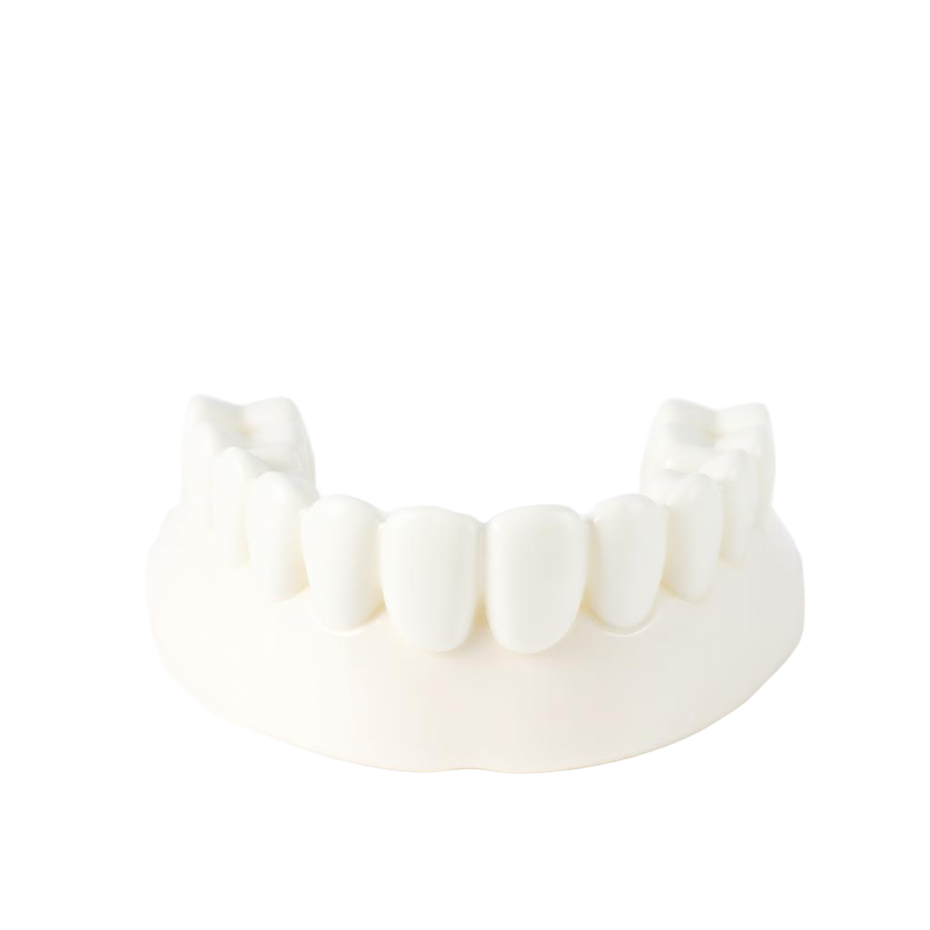 Detail of a ceramic crown restoration made for a Cadbury Dental patient in Birmingham